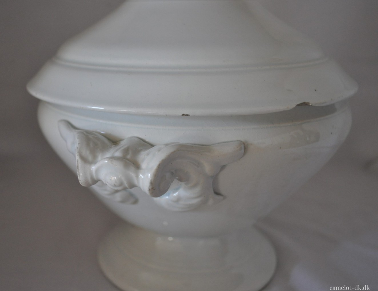 Fransk terrin med låg