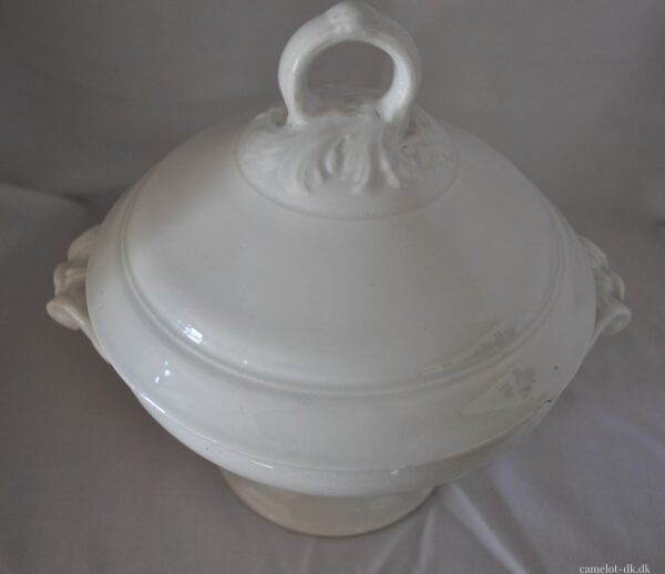 Fransk terrin med låg