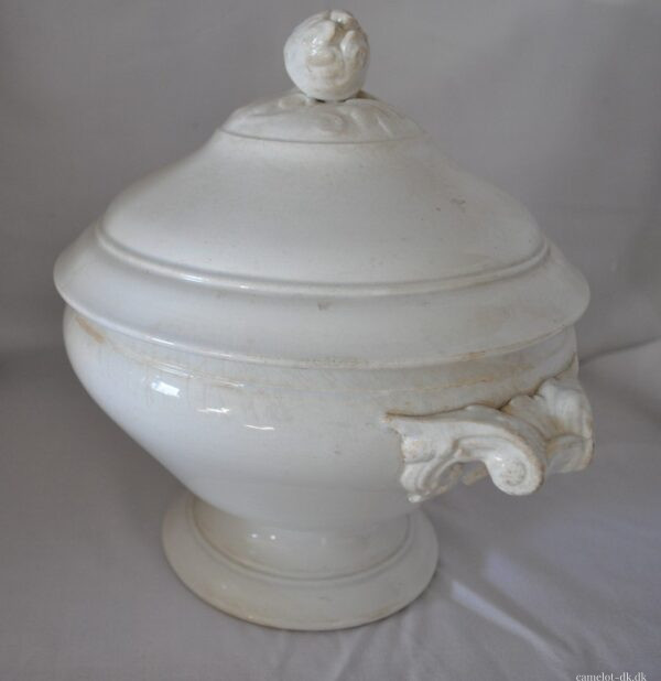 Fransk terrin med låg