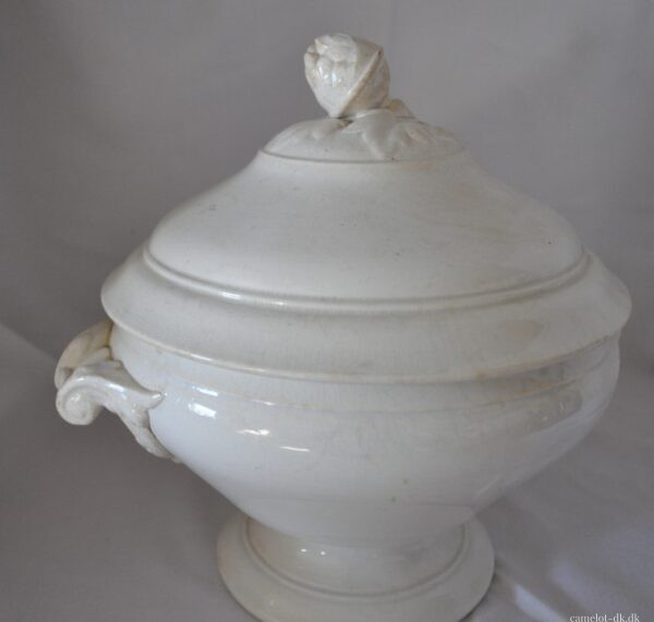 Fransk terrin med låg