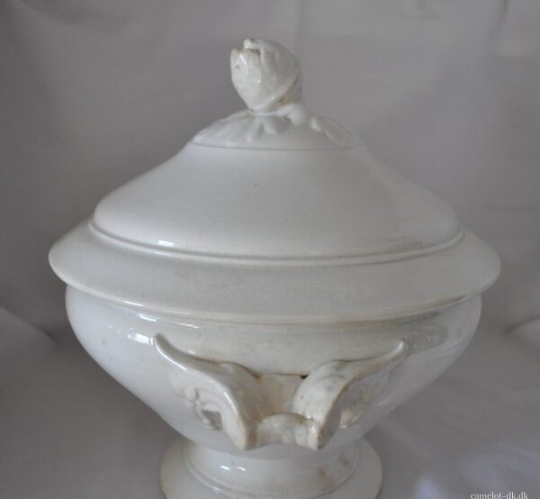 Fransk terrin med låg