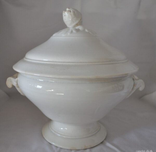 Fransk terrin med låg