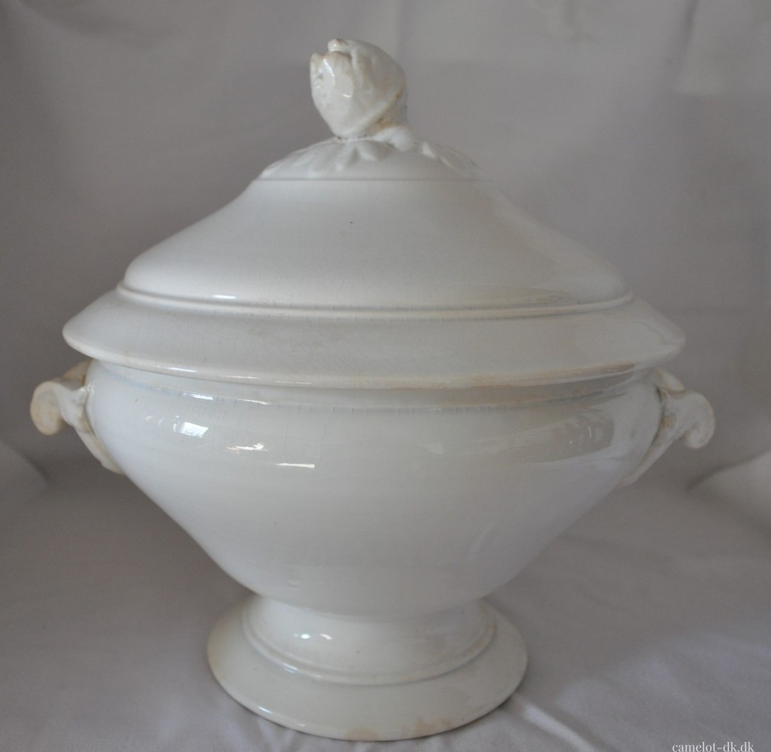 Fransk terrin med låg