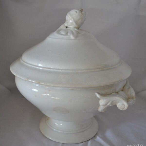 Fransk terrin med låg