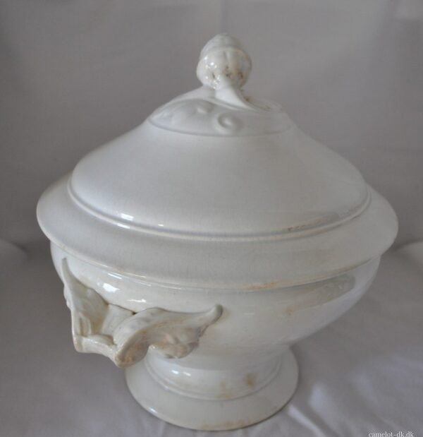 Fransk terrin med låg