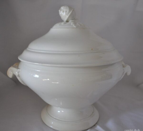 Fransk terrin med låg