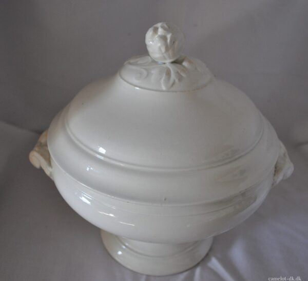 Fransk terrin med låg