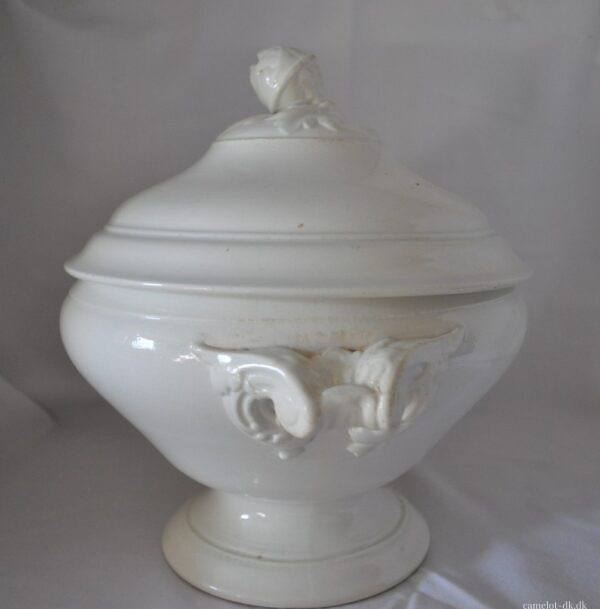 Fransk terrin med låg