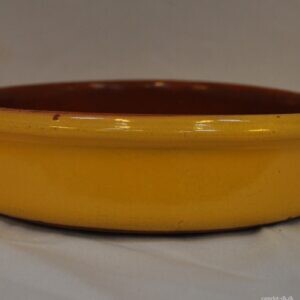 Fransk ildfast fad